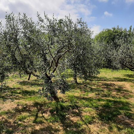 La Casetta Di Bianca Villa Riccò del Golfo di Spezia Eksteriør billede