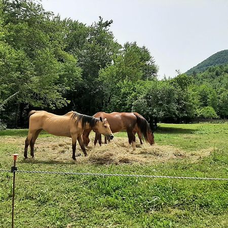 La Casetta Di Bianca Villa Riccò del Golfo di Spezia Eksteriør billede