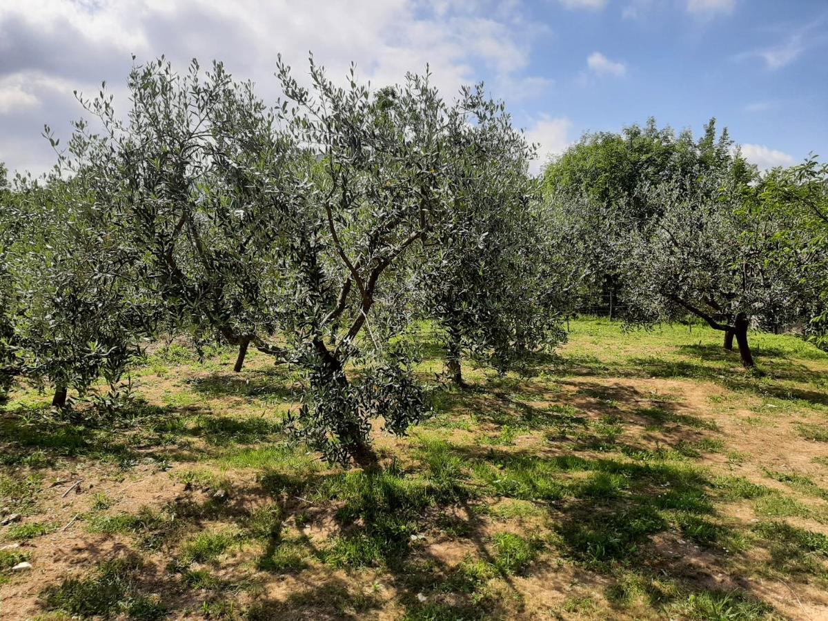 La Casetta Di Bianca Villa Riccò del Golfo di Spezia Eksteriør billede